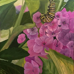 Sandra Nardone Title: Monarch Caterpillar