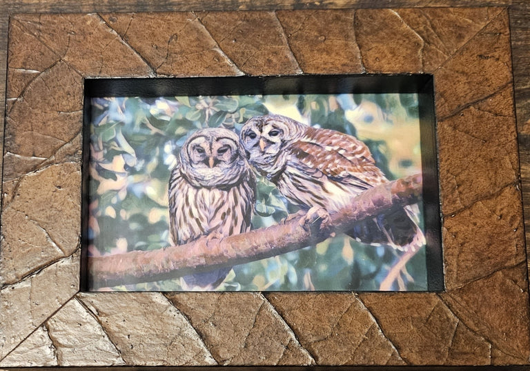 Martha Kroupa Title: Owl Couple