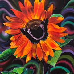 Nancy Jacey Title: Sunflower Burst