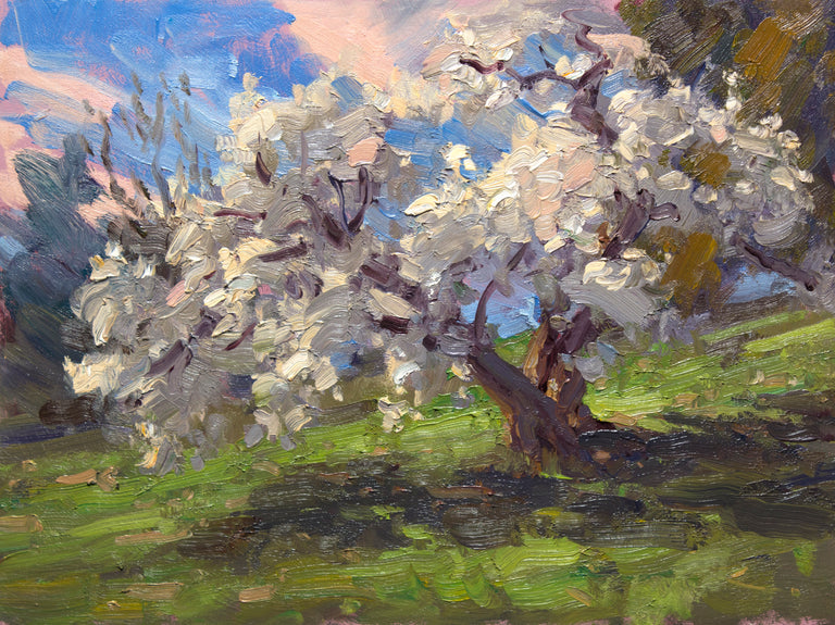 Andre Lucero Title: Spring Glory