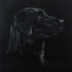 Art LaMay Title: Labrador