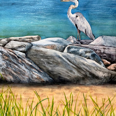 Don Whitson Title: Great Blue Heron