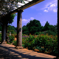 Lynn Limon Title: Italian Garden, Maymont