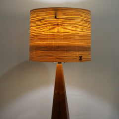 Mike Scribner Title: Wedge Lamp Series 1 No. 3