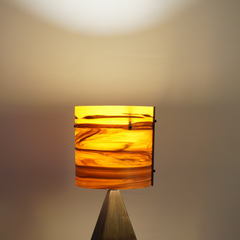 Mike Scribner Title: Wedge Lamp Prime Series 3 No. 15