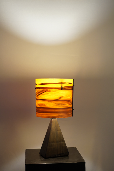 Mike Scribner Title: Wedge Lamp Prime Series 3 No. 15