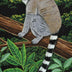 Melanie Conrad Title: Ringtailed Lemur
