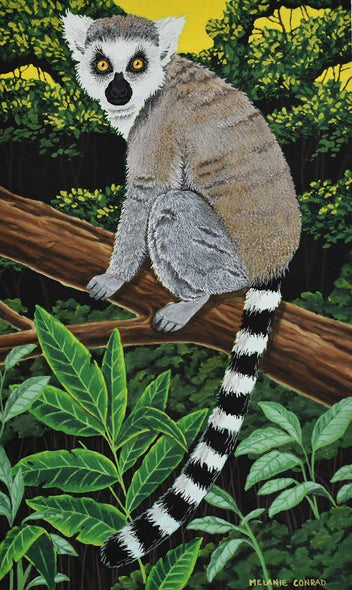 Melanie Conrad Title: Ringtailed Lemur