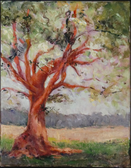 Lois Shipley Title: Tree Compelments