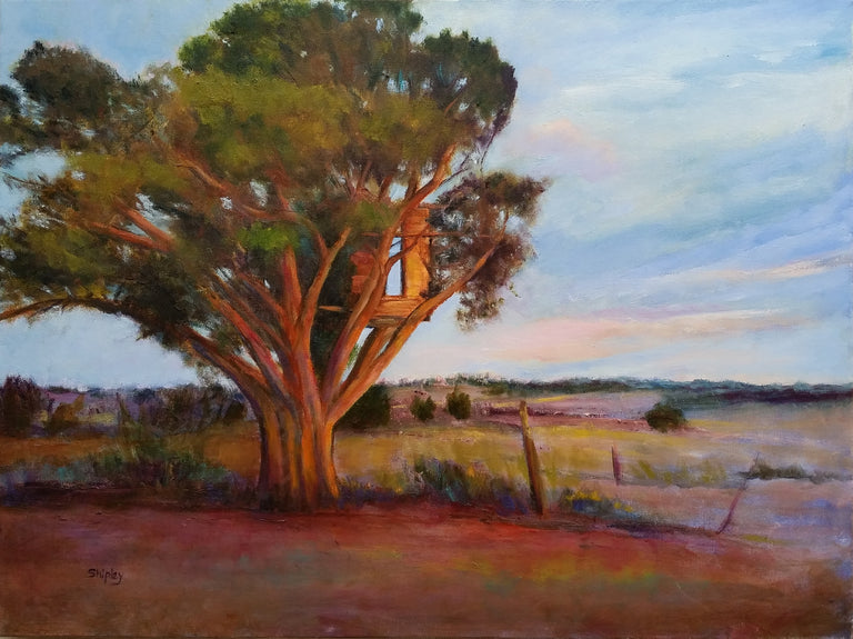 Lois Shipley Title: Canyon Sunset