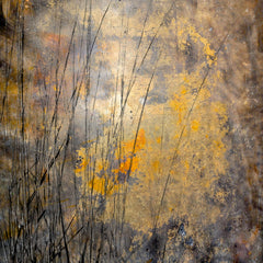 Richard Upton title: Tidal Marsh at Sunrise