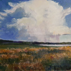 Lois Shipley Title: Cloudburst