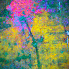 Richard Upton title: Bloom