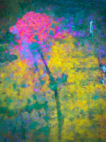 Richard Upton title: Bloom