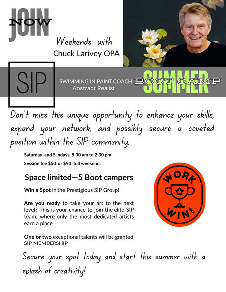 Summer SIP Boot Camp