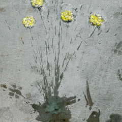 Richard Upton title: Concrete Floral