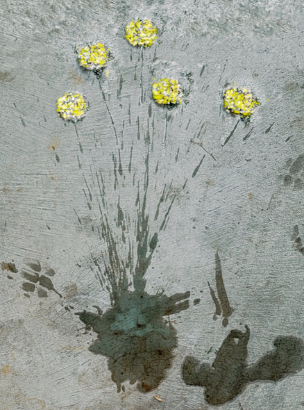 Richard Upton title: Concrete Floral