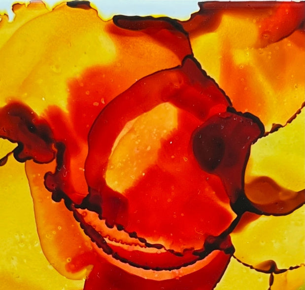 Abbott, Stacy Title: Bloom State: Convergence