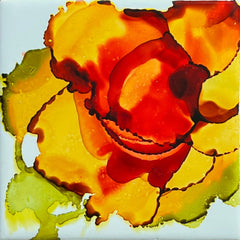 Abbott, Stacy Title: Bloom State: Convergence