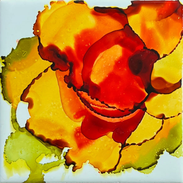 Abbott, Stacy Title: Bloom State: Convergence