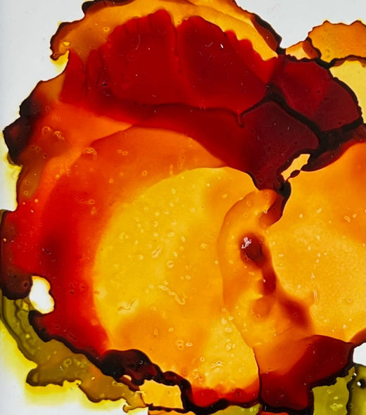 Abbott, Stacy Title: Bloom State: Settlement