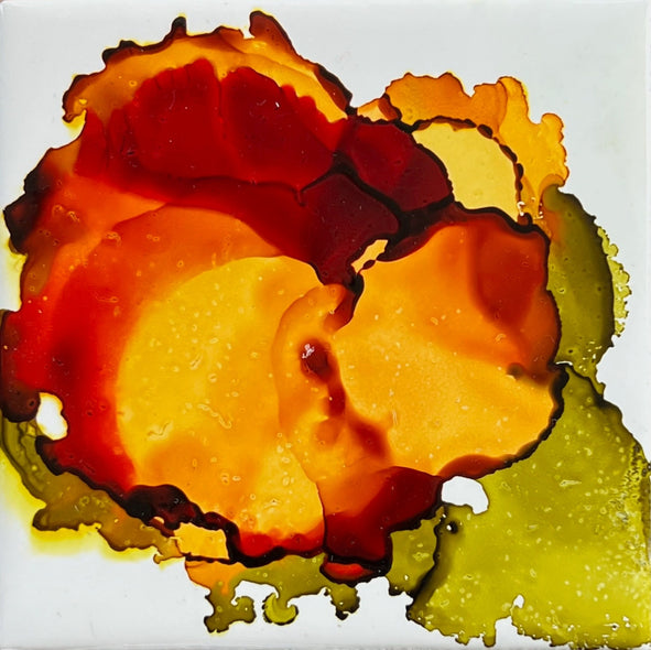 Abbott, Stacy Title: Bloom State: Settlement