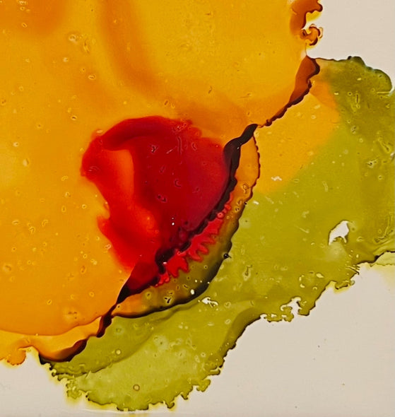 Abbott, Stacy Title: Bloom State: Stillness