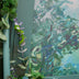 Mendelson, Addie Title: Silence in the Overgrowth