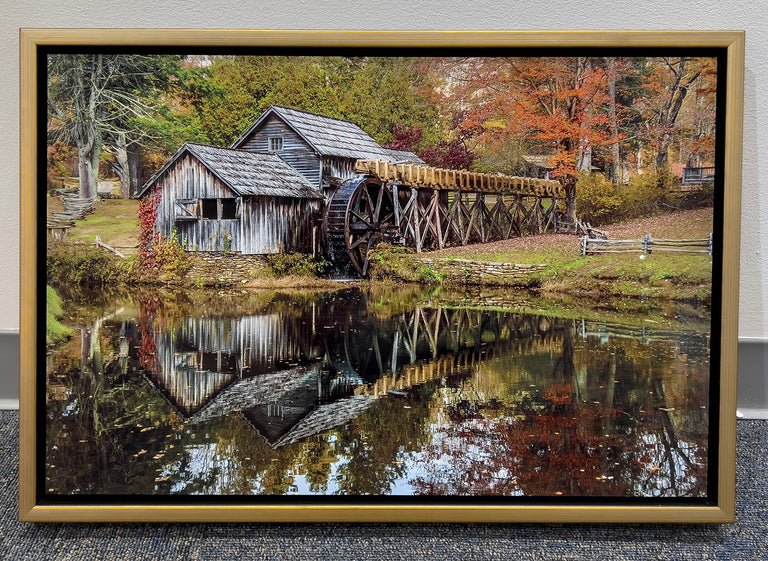 Ann Fulcher Title: Autumn in Virginia