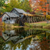 Ann Fulcher Title: Autumn in Virginia