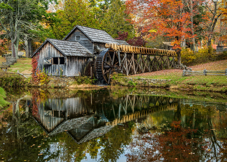 Ann Fulcher Title: Autumn in Virginia