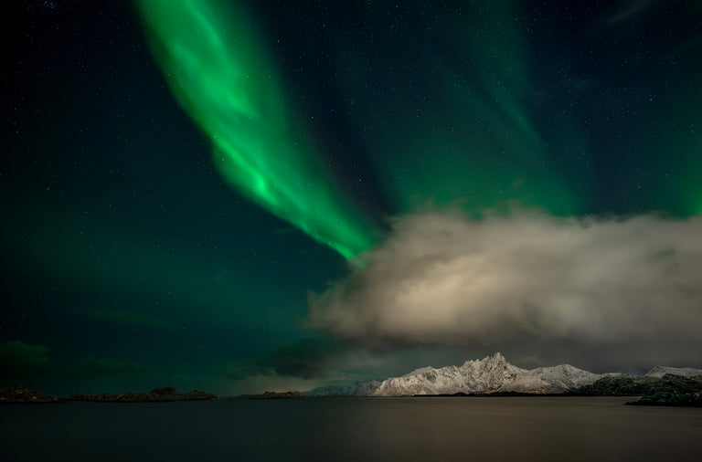 Ann Fulcher Title: Green Magic