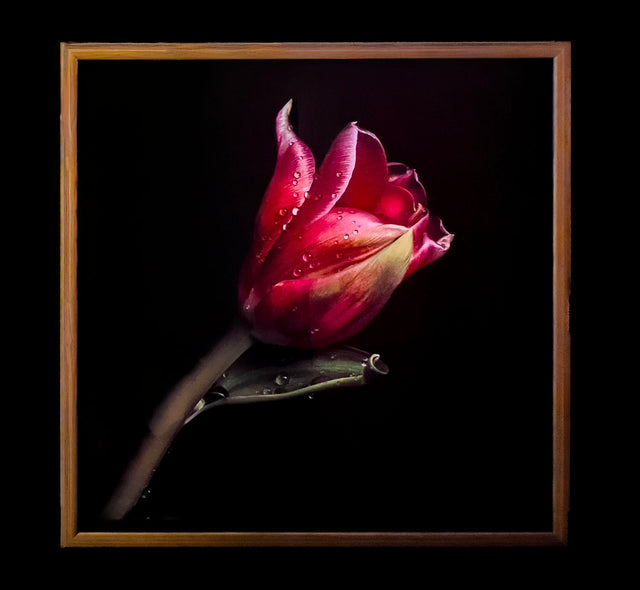 Ann Fulcher Title: Nature's Flourish