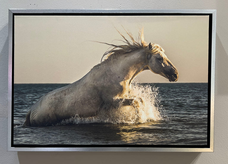 Ann Fulcher Title: Rising from the Sea