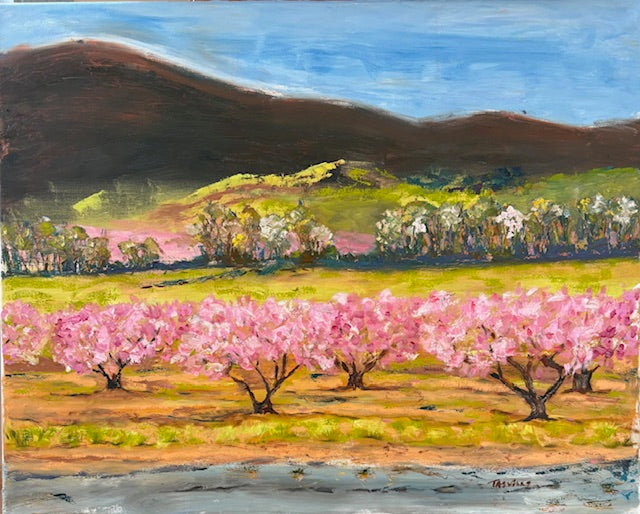Barbara Trovillo Title: Peaches in Bloom 2026