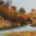 Baron, Carol  title: Golden Days at the Creek