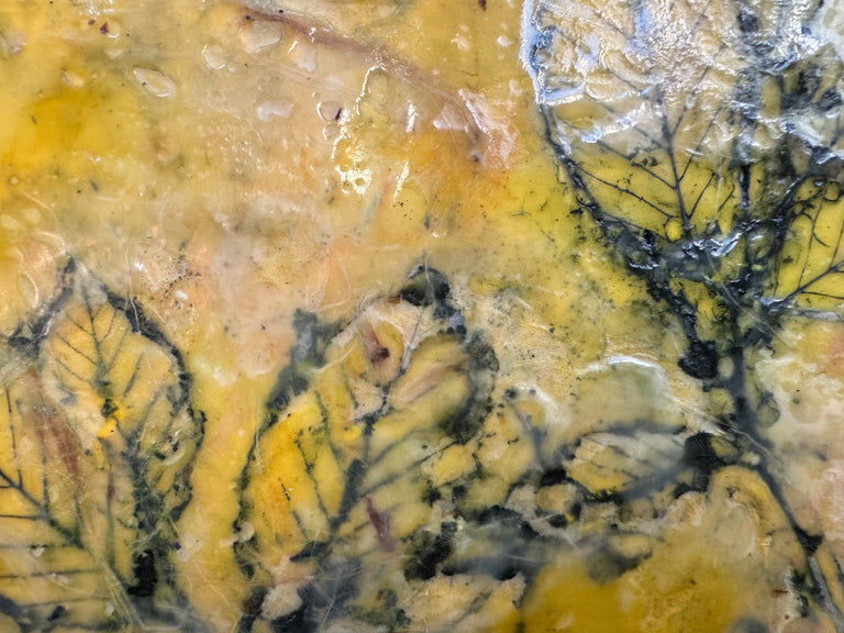 Bennett, Joan Title: Slow Burn #2