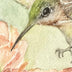 Berry, Dale Title: Hummingbird and Cactus