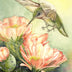 Berry, Dale Title: Hummingbird and Cactus