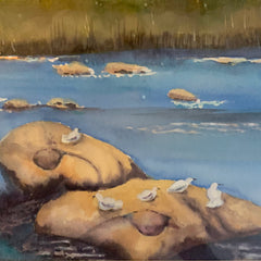 Elizabeth Betty Drozesky Title: James River Rocks