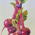 Beverley Jane Collection: Vegetables