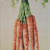 Beverley Jane Collection: Vegetables