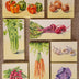 Beverley Jane Collection: Vegetables