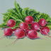 Beverley Jane Collection: Vegetables