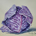 Beverley Jane Collection: Vegetables