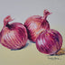 Beverley Jane Collection: Vegetables