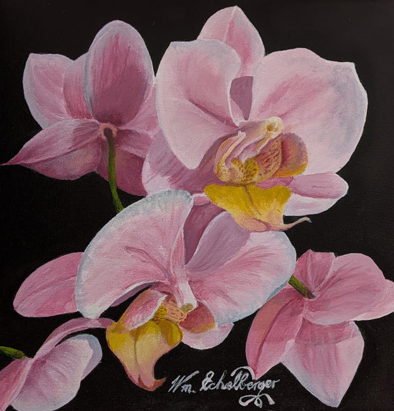 Echelberer, Bill title: Orchid #2