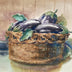 Bily, Mike  Title: Bountiful Seals