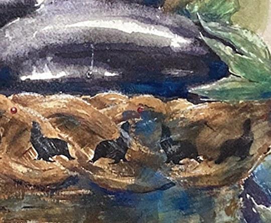 Bily, Mike  Title: Bountiful Seals