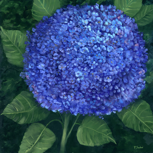 Bonnie Jordan Title: Blue Hydrangea